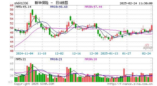 新华保险