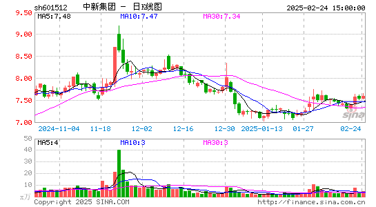 中新集团