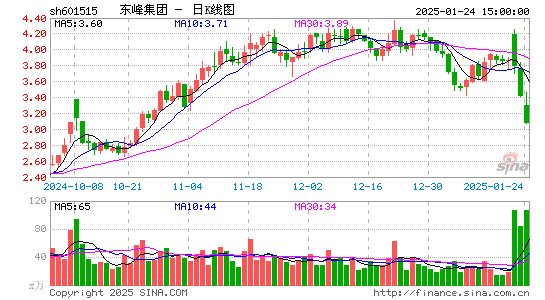 东风股份