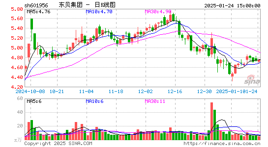 东贝集团