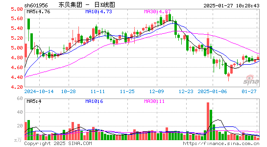 东贝集团