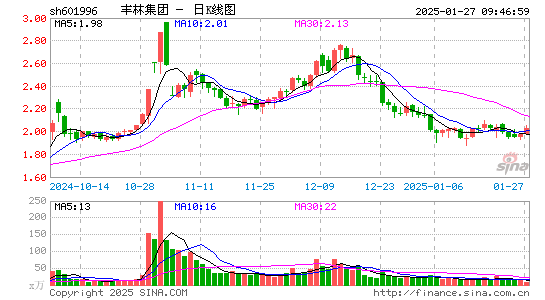 丰林集团