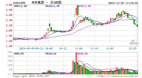 丰林集团