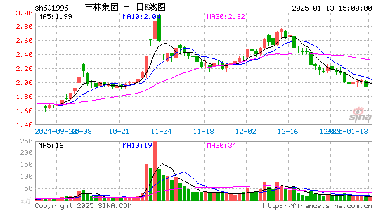 丰林集团