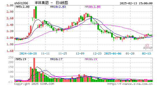 丰林集团