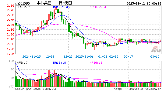 丰林集团