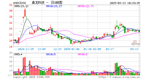 鼎龙科技