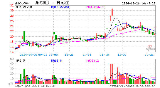 鼎龙科技