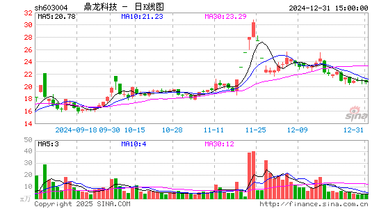 鼎龙科技