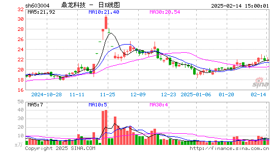 鼎龙科技