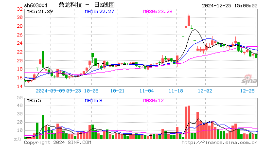 鼎龙科技