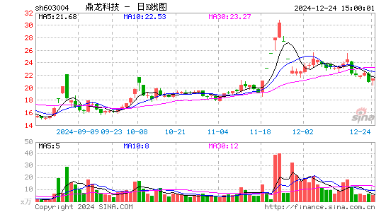 鼎龙科技