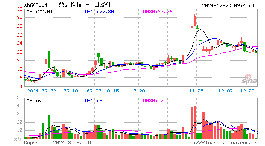 鼎龙科技