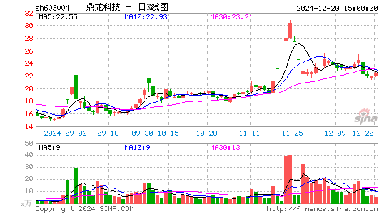 鼎龙科技