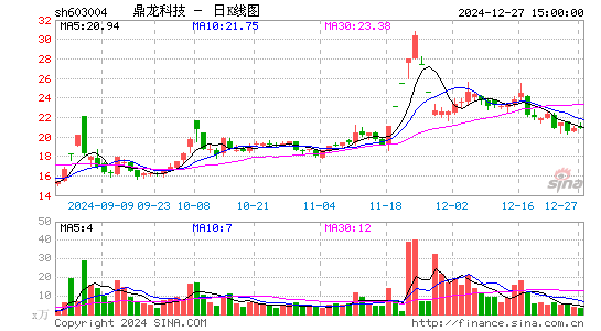 鼎龙科技