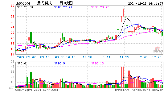 鼎龙科技