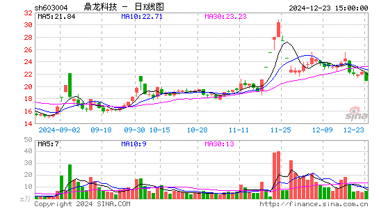 鼎龙科技