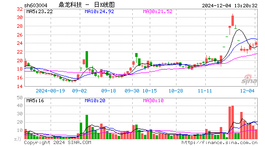 鼎龙科技