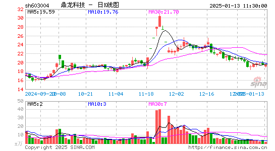 鼎龙科技