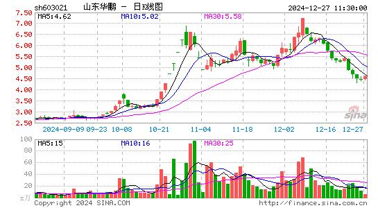 山东华鹏