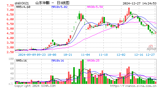 山东华鹏