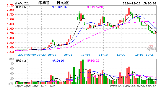 山东华鹏