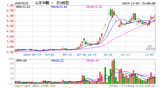 山东华鹏