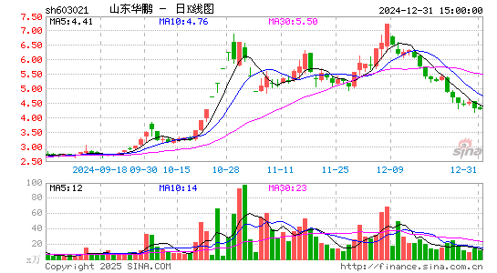 山东华鹏