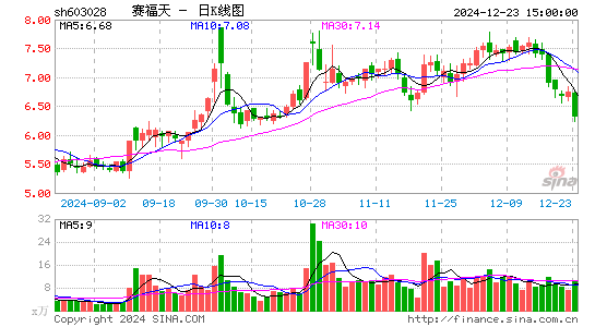 赛福天