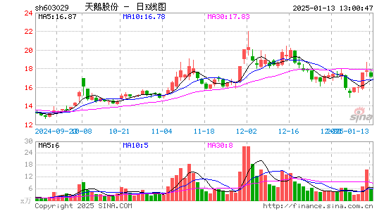 天鹅股份