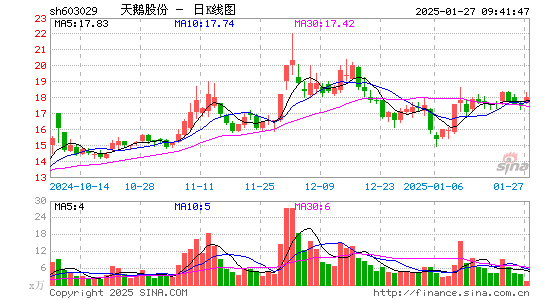 天鹅股份