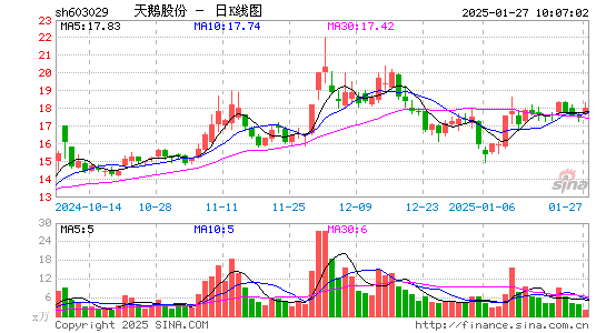 天鹅股份