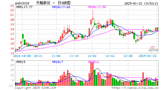 天鹅股份