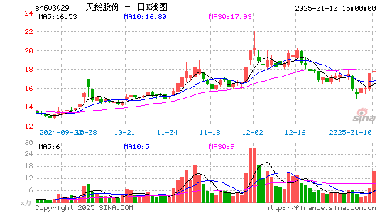 天鹅股份