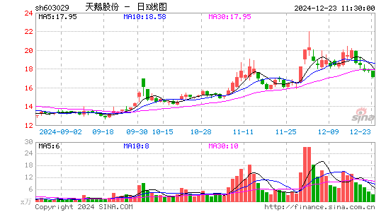 天鹅股份