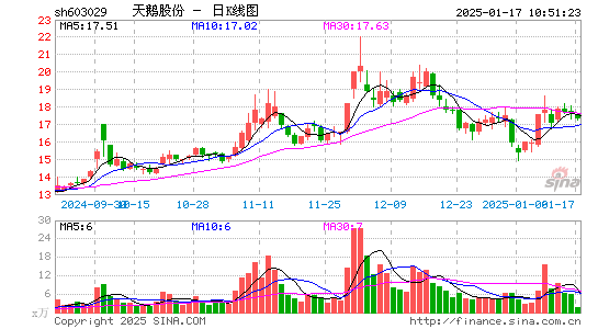 天鹅股份