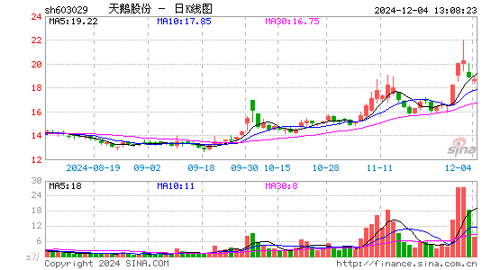 天鹅股份