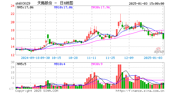 天鹅股份