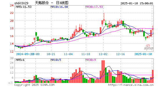 天鹅股份