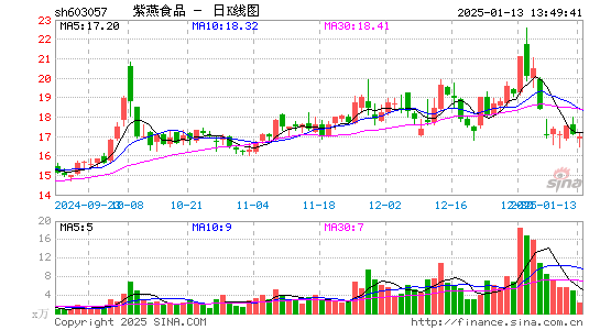 紫燕食品