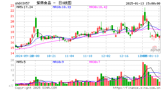 紫燕食品