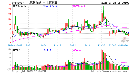 紫燕食品