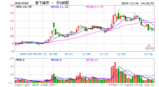 音飞储存