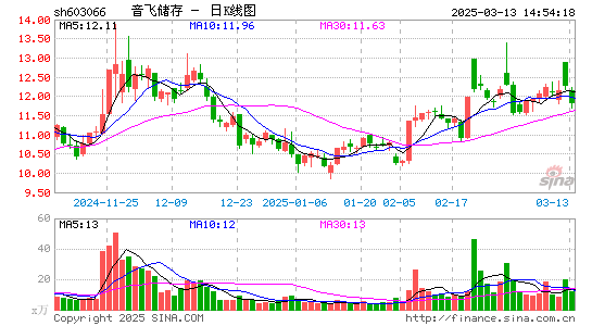 音飞储存