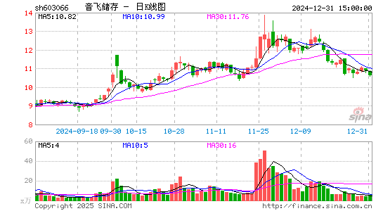 音飞储存