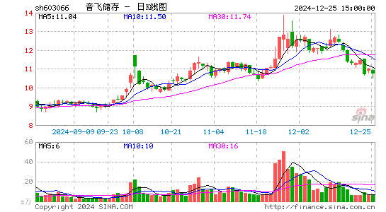 音飞储存