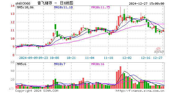 音飞储存