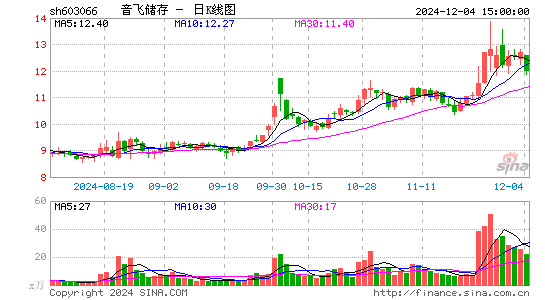 音飞储存