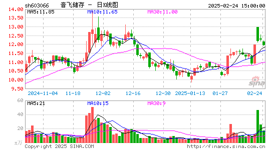 音飞储存