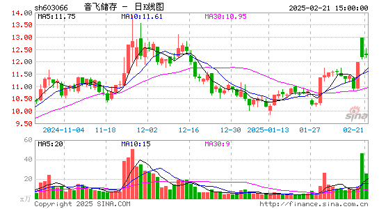 音飞储存